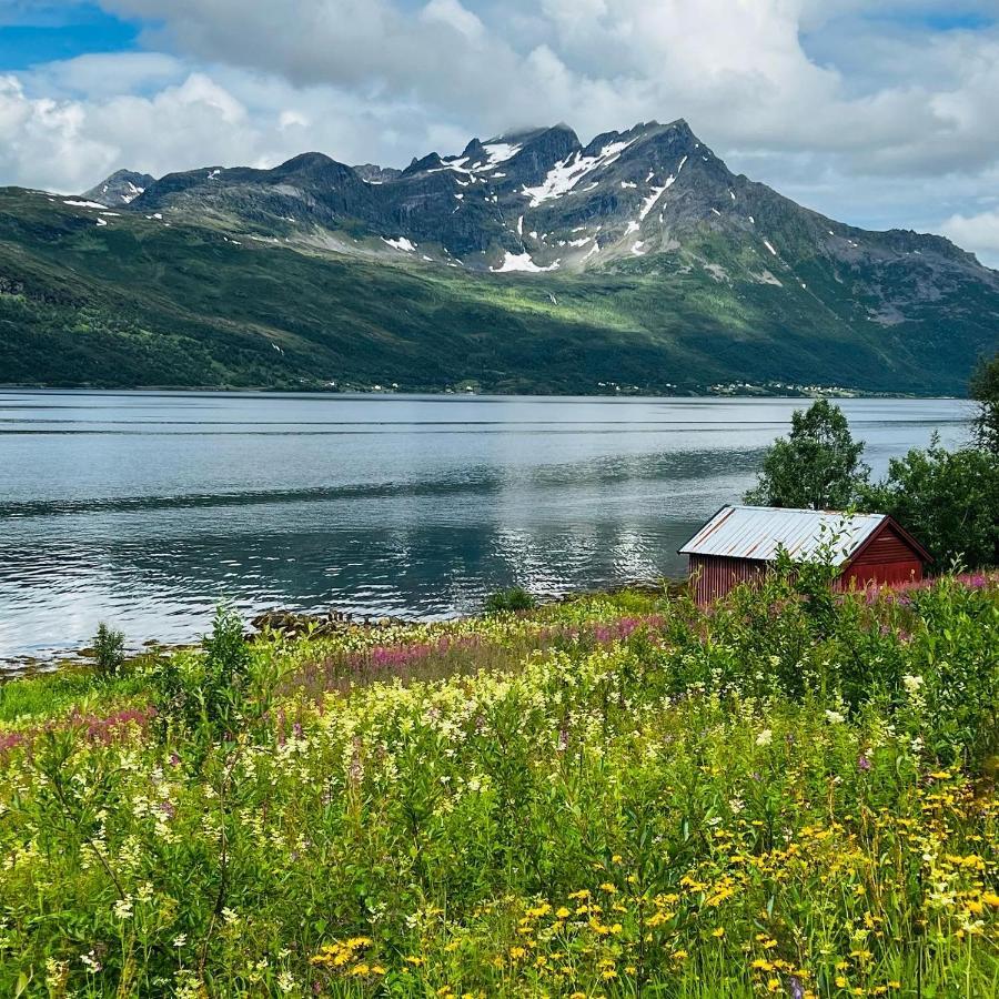 Face Of North Lägenhet Gratangen Exteriör bild