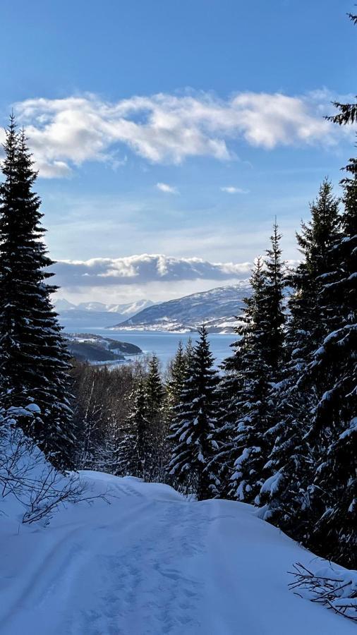 Face Of North Lägenhet Gratangen Exteriör bild