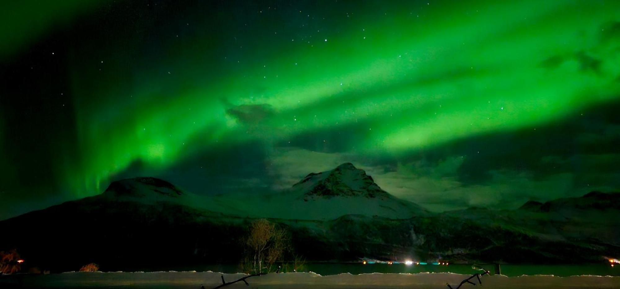 Face Of North Lägenhet Gratangen Exteriör bild