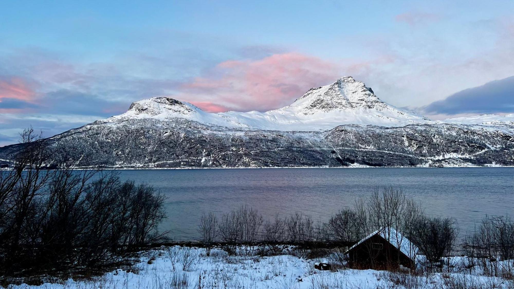 Face Of North Lägenhet Gratangen Exteriör bild